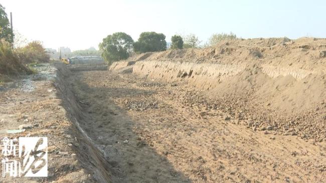 文物部門未收繳到工地出土銀元 市民挖掘熱潮引發(fā)關(guān)注