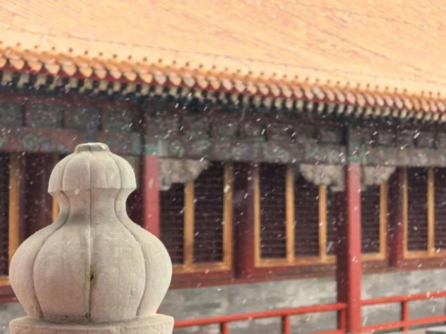 天津终于下雪了 全市迎来首场降雪