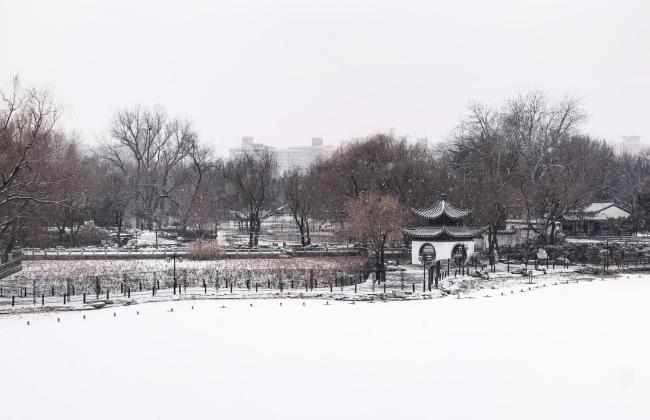 北京陶然亭公園上演絕美雪景 飛雪裝點古韻新顏