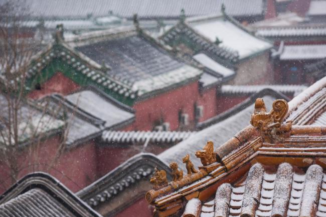 故宮遇上雪夜 絕美景色太出片 紫禁城雪韻攝影指南