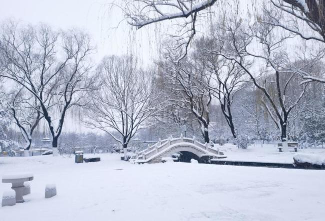 濟(jì)南九大公園同步換“銀裝” 雪景如畫冬日浪漫