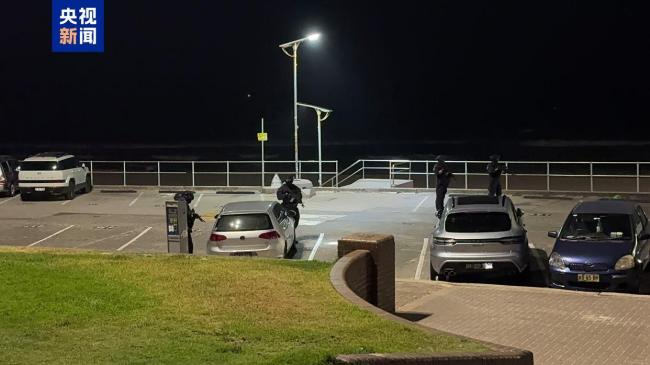 澳洲邦迪海滩枪击事件致12死