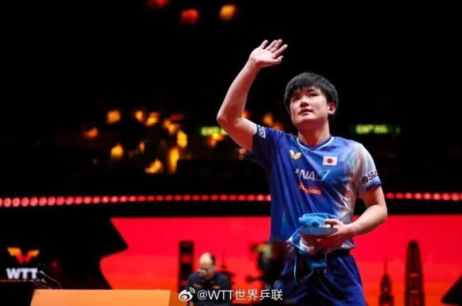 张本智和再次模仿樊振东庆祝动作 表达对偶像的憧憬