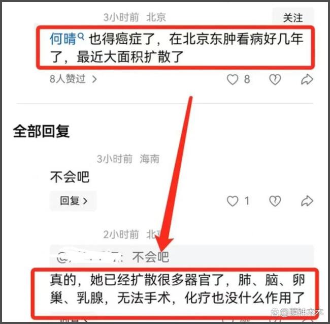 何晴10年前確診癌癥 與病魔抗爭多年終離世