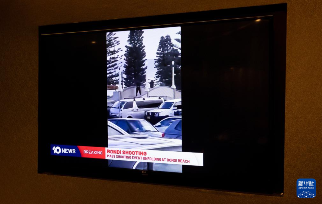 大屠杀幸存者在悉尼枪击案中弹身亡 犹太社区遭袭
