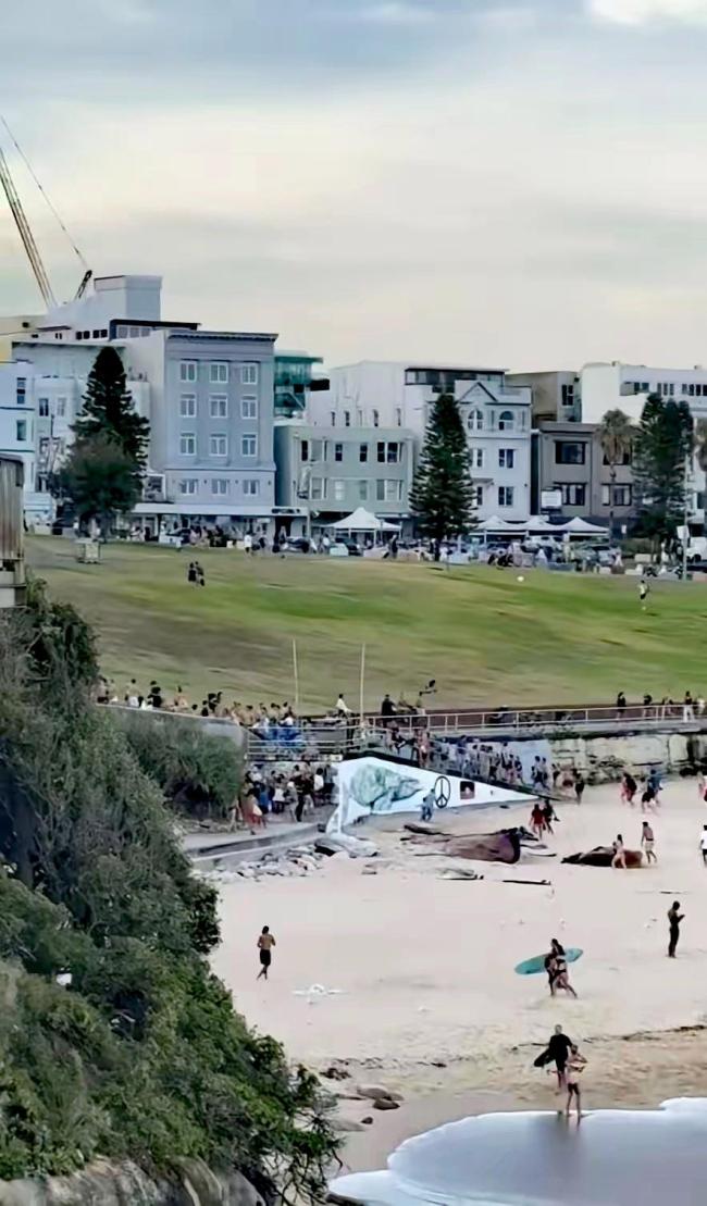 澳洲枪击案枪手被击毙画面曝光 恐怖袭击致12死29伤