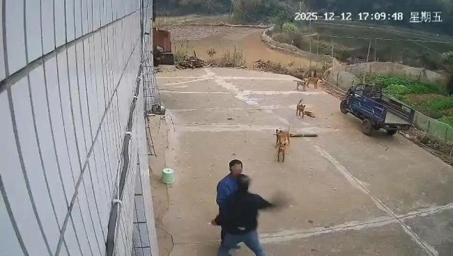 将老人打倒在地男子已到案接受调查 因养狗纠纷引发冲突