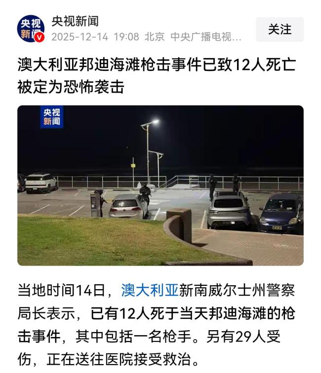 男子被误当成澳枪击案枪手遭拳打脚踢 英勇行为反遭误解