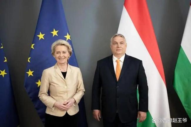 美俄欧就俄乌和平计划各打着啥算盘 欧盟的“饮鸩止渴”豪赌