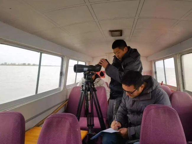 数十万只候鸟是怎么“数”出来的 科学统计护航候鸟安全