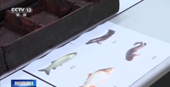 考古新发现!出土实物带你解密这位楚王的日常