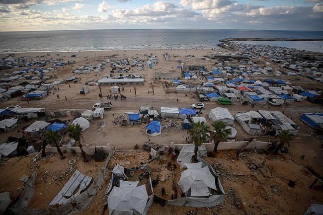 本轮冲突已致加沙超24万人死伤