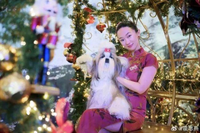 霍思燕穿旗袍牵西施犬在国际展夺冠 东方优雅闪耀世界