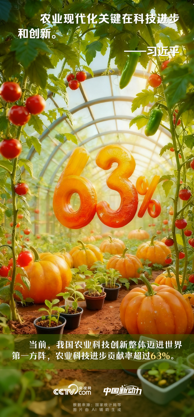 向新而行|操其要于上,而分其详于下