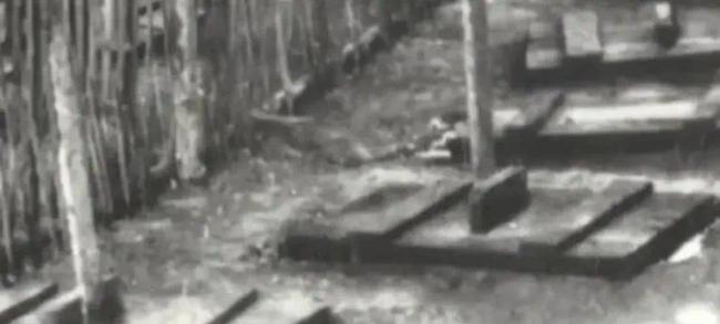 日本记者欲揭露集中营黑幕，被谋杀！