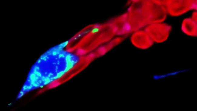 2025年，十大太空发现 科学突破引领未来方向