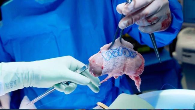 2025年，十大太空发现 科学突破引领未来方向