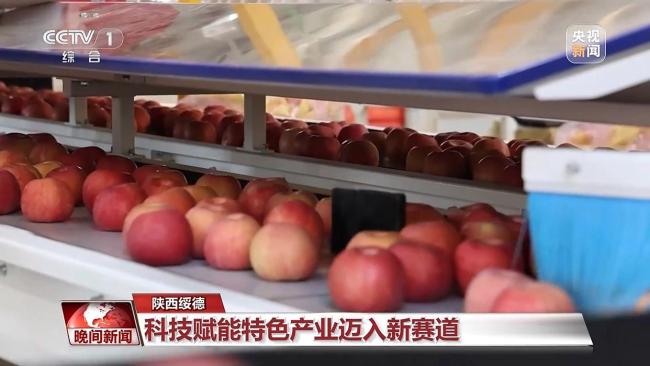 从多领域成就 感受中国经济活力