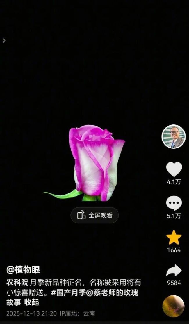 “宝华月季”正式进入申报流程