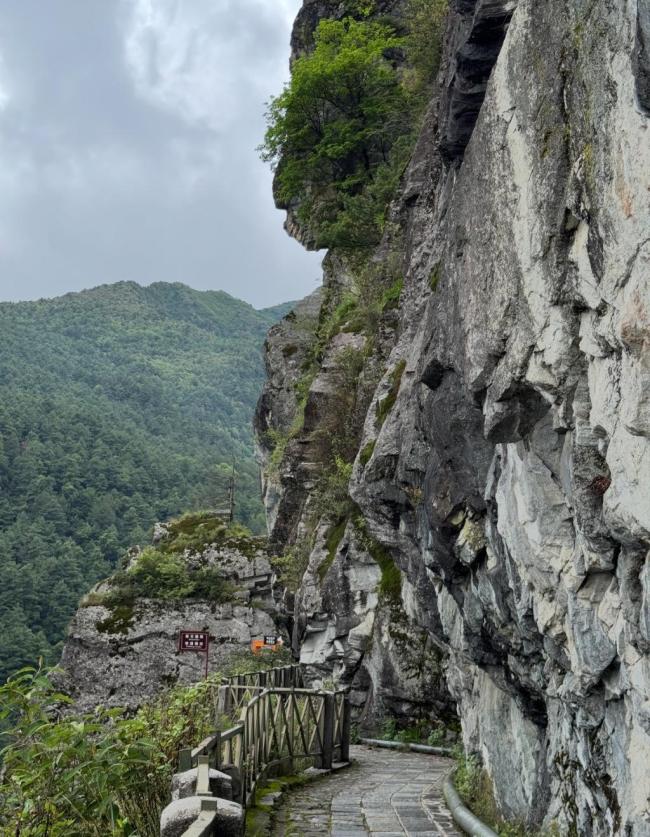 男子在大理苍山观光步道外疑自缢身亡
