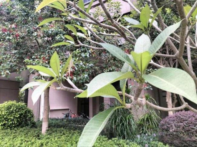 八旬老人为躲儿子家暴两换养老院 悲剧背后的家产纠纷