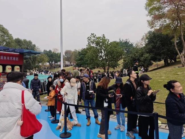 鸡排哥回应未来规划 走自己的路看风景