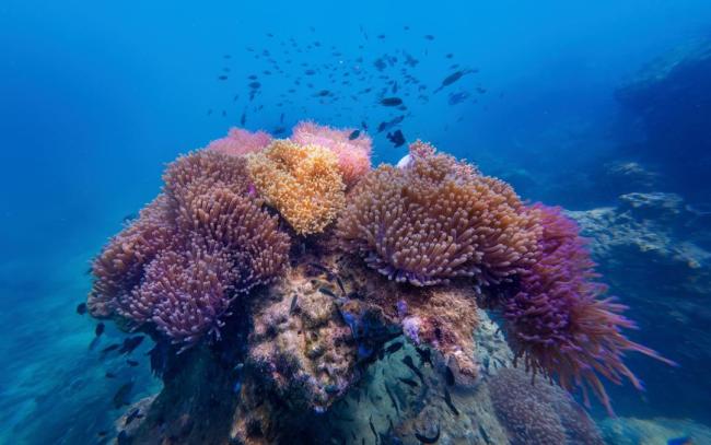 2025年国际十大科技新闻揭晓 创新引领未来