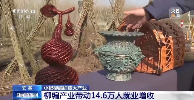 杞柳收割正當(dāng)時(shí) 看阜南老手藝如何編織廣闊未來(lái)