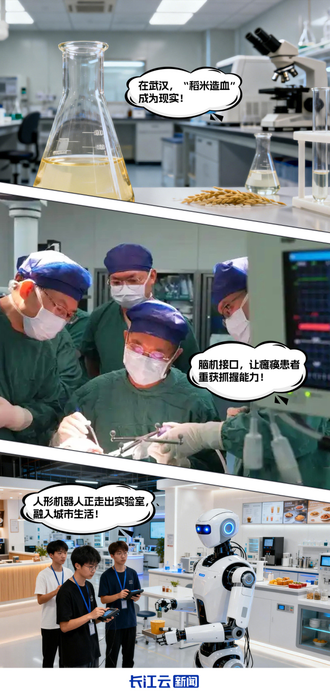 不负总书记的嘱托丨以支点担当践行国家战略