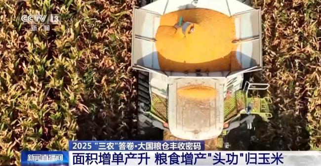 为何今年全国粮食产量再创新高 丰收来之不易