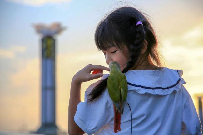 为什么大家都不想独处了 陪伴经济崛起