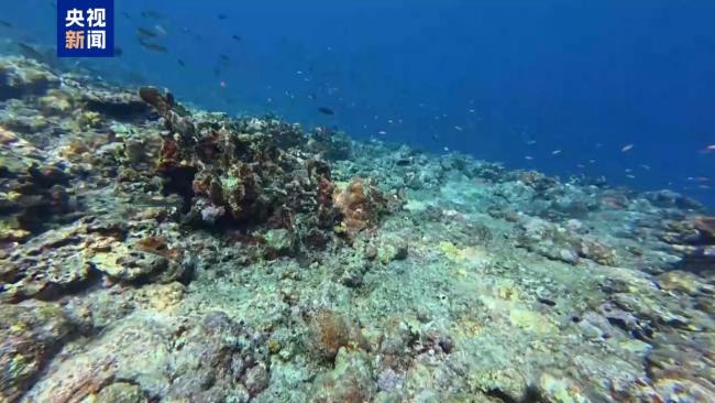 《黃岩島珊瑚礁生態調查報告》發布