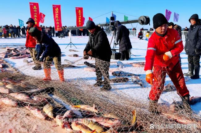 黑龙江连环湖现巨型鱼舞台 冬捕盛宴引关注