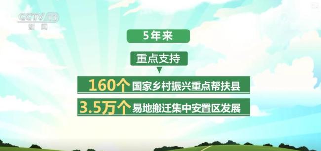 2025“三农”成绩单 脱贫地区稳步发展