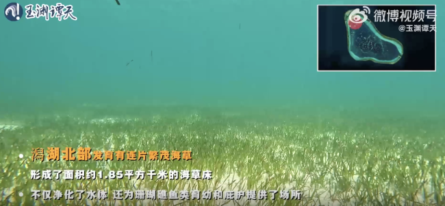 沉浸式体验黄岩岛“体检师”的一天