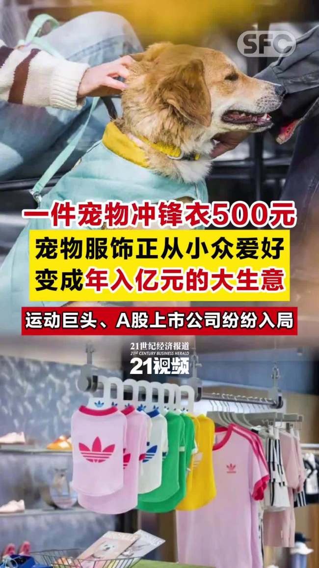 一件宠物冲锋衣500元！我国宠物市场规模突破6000亿
