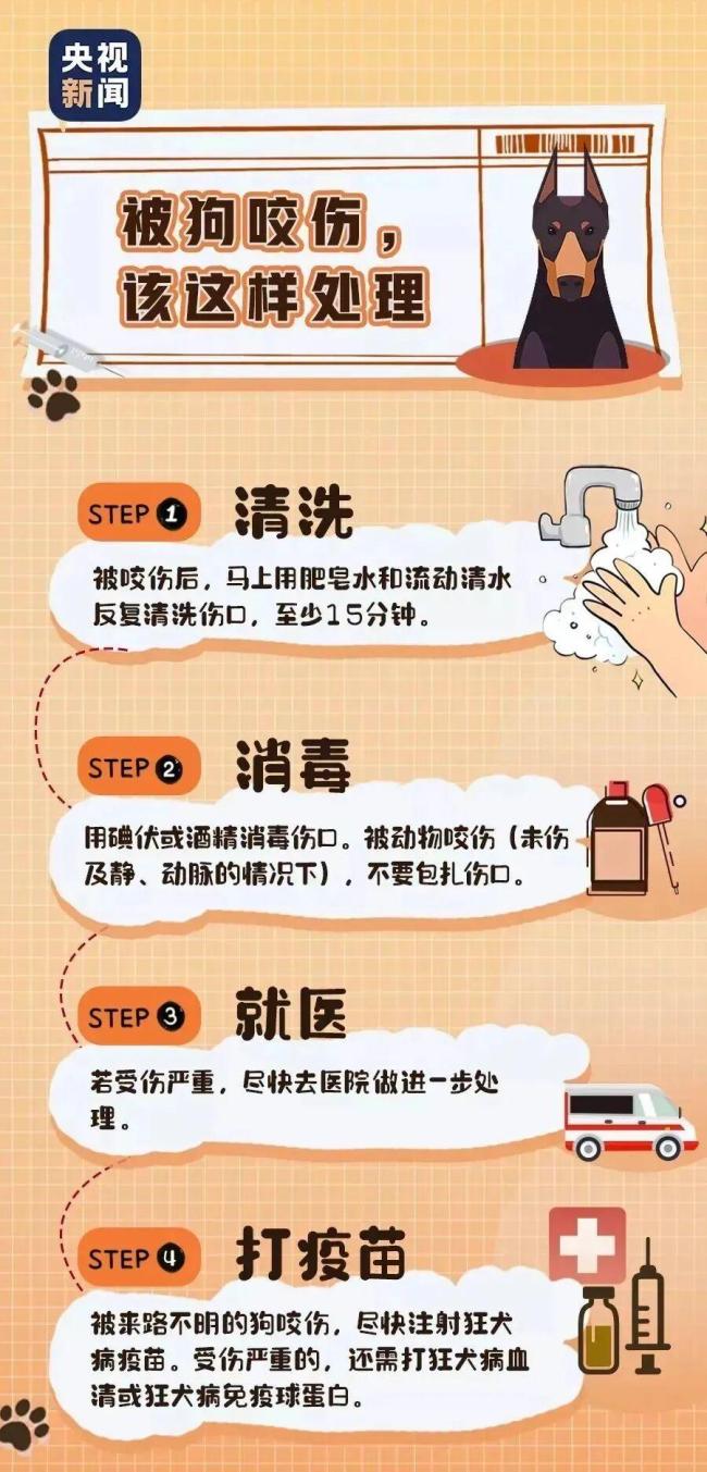 明起不文明养犬行为最高拘10天罚1千元 新法划定“红线”