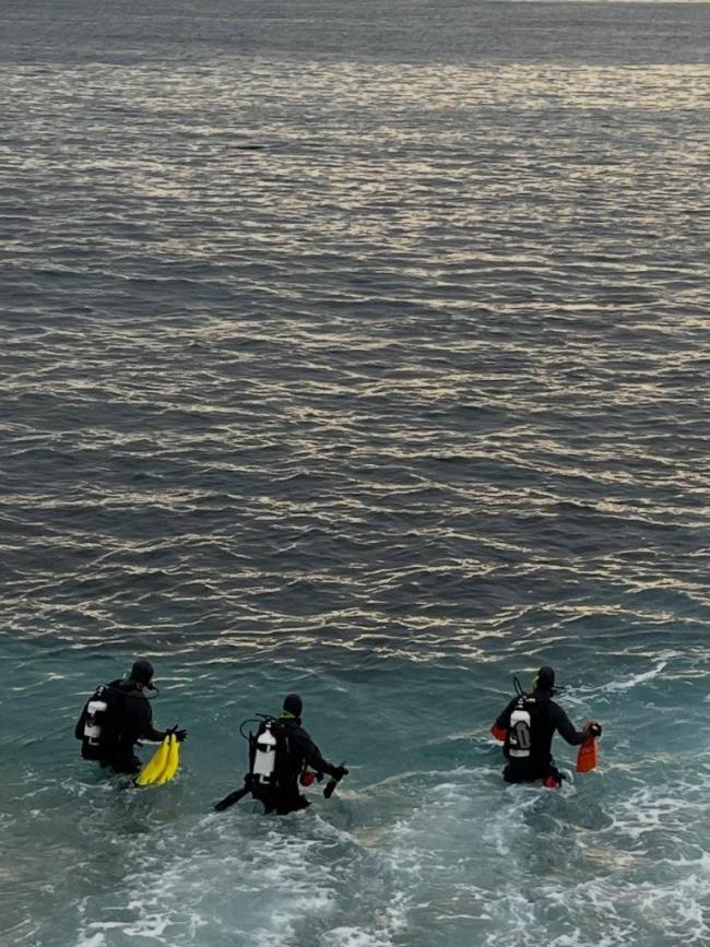 美女子被鲨鱼叼走一周后遗体被找到 悲剧震惊社区