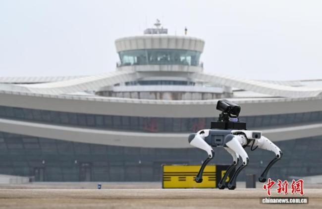 科技“新秀”机器人在“浙”里显身手 多场景应用展现未来可能性
