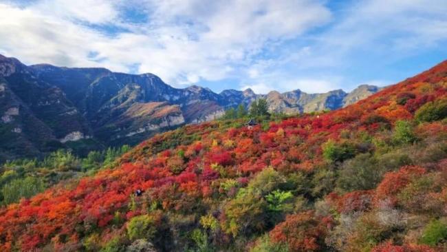 北京房山网红村逆袭记 红色背篓精神引领