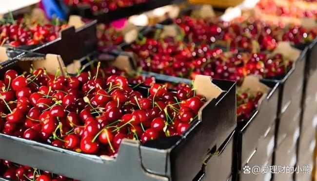 智利车厘子快线比地铁还勤 甜蜜新年加速送达