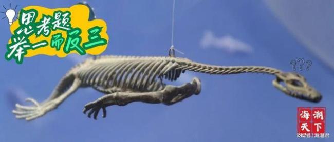 最惨烈的一次大灭绝后，仅300万年，海洋生态竟“神速”重启了 5米长巨兽已称霸海洋