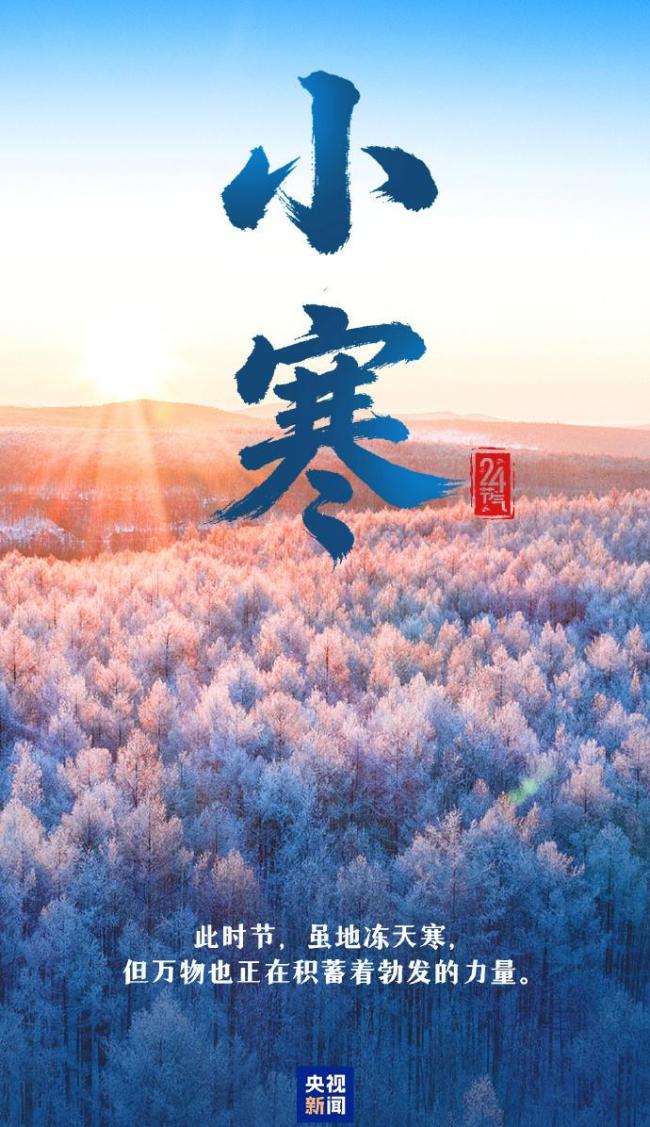 今日小寒 愿你心向暖阳 静待春归