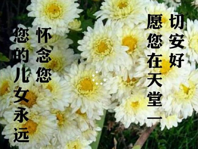 父母相继离世女儿报丧村书记发声 18岁女孩痛失双亲引发关注