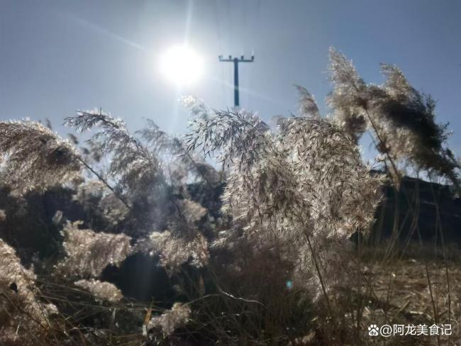 “三九寒不寒,就看冬月十八”有道理吗? 今冬寒潮预警与气候趋势解读