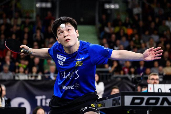 德国杯登顶收获留洋首冠，樊振东的收获远不止赢球 6小时4战全胜