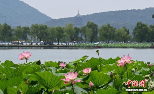 杭州入选联合国“20个零废物城市”