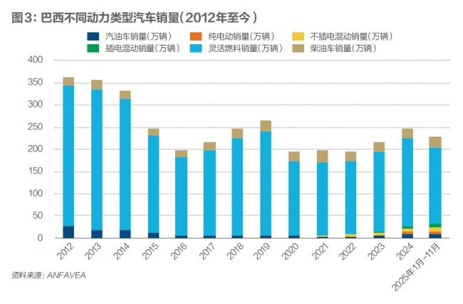 中国车企深入巴西腹地 本土化战略制胜