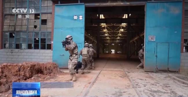 直击高强度人机协同清剿演练 创新编组提升反恐效能