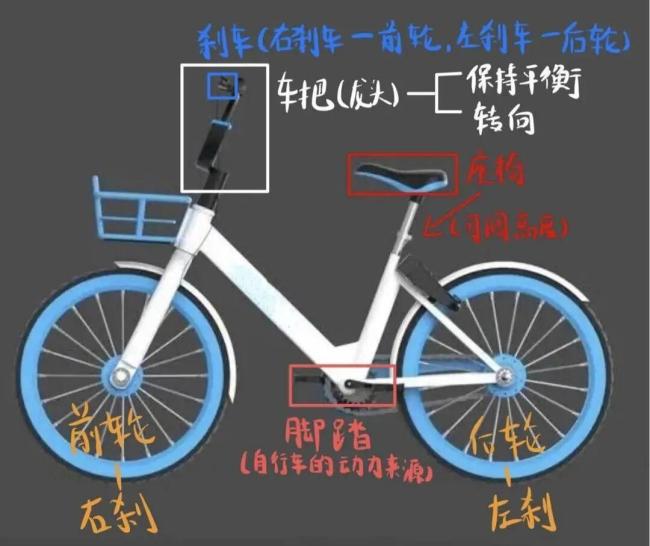 研究生教人骑车2年赚27万元 小众生意走红